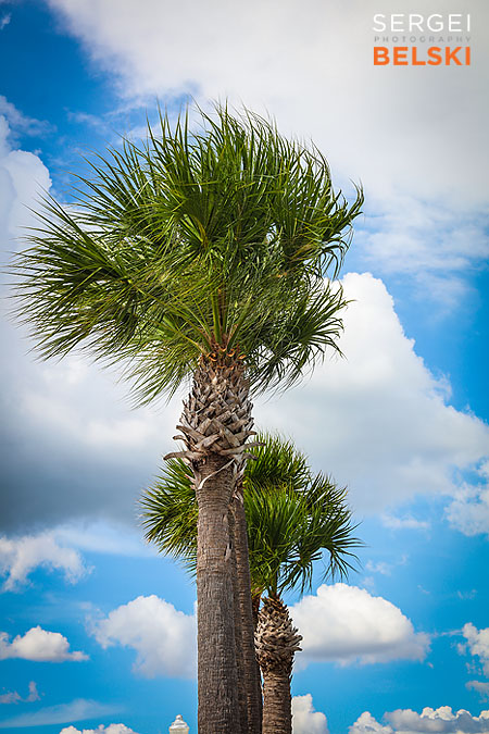 florida vacation family travel photographer sergei belski photo