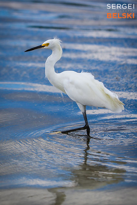 florida vacation family travel photographer sergei belski photo