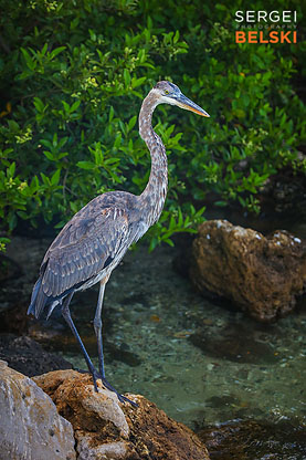 florida vacation family travel photographer sergei belski photo