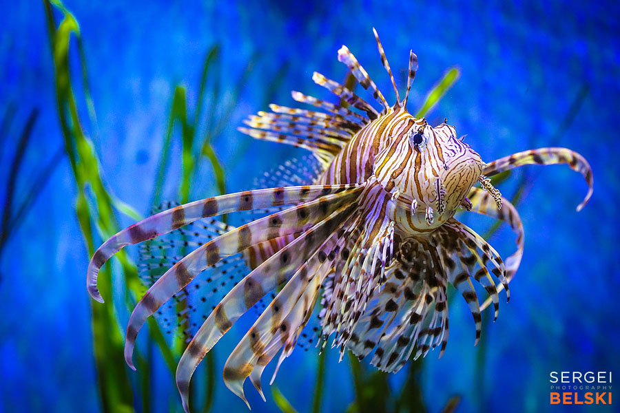 florida vacation family travel photographer sergei belski photo