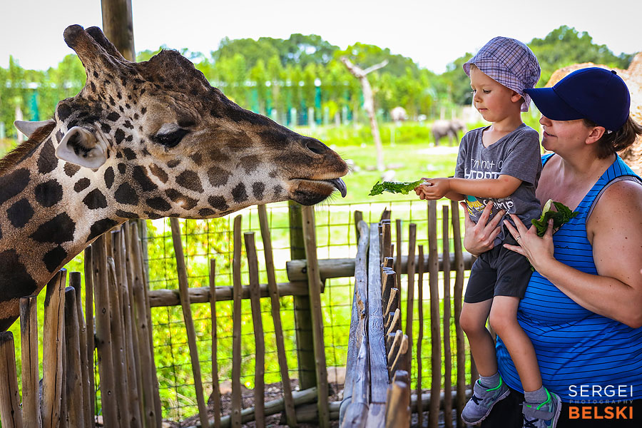 florida vacation family travel photographer sergei belski photo