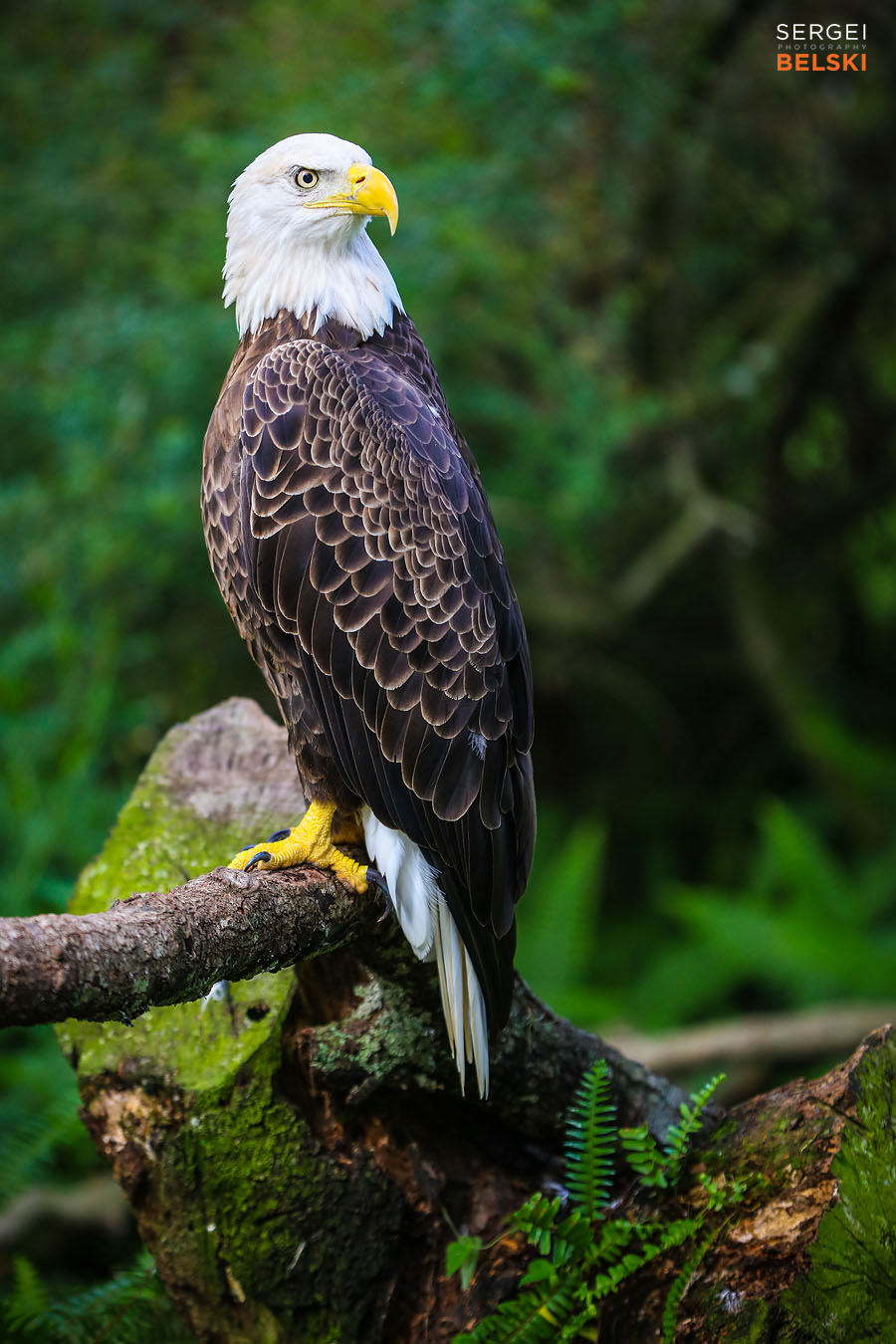 florida vacation family travel photographer sergei belski photo