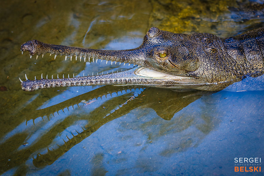 florida vacation family travel photographer sergei belski photo