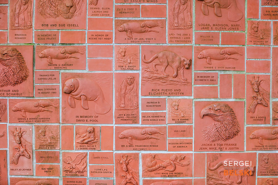 florida vacation family travel photographer sergei belski photo