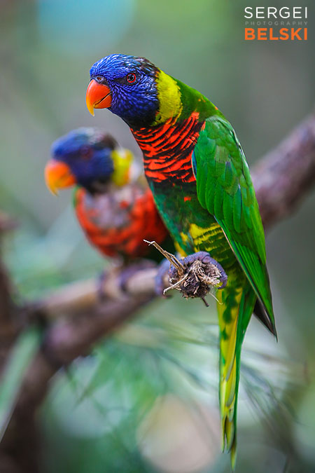 florida vacation family travel photographer sergei belski photo