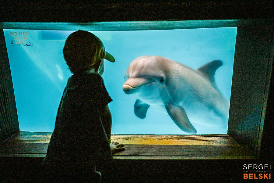 florida vacation family travel photographer sergei belski photo