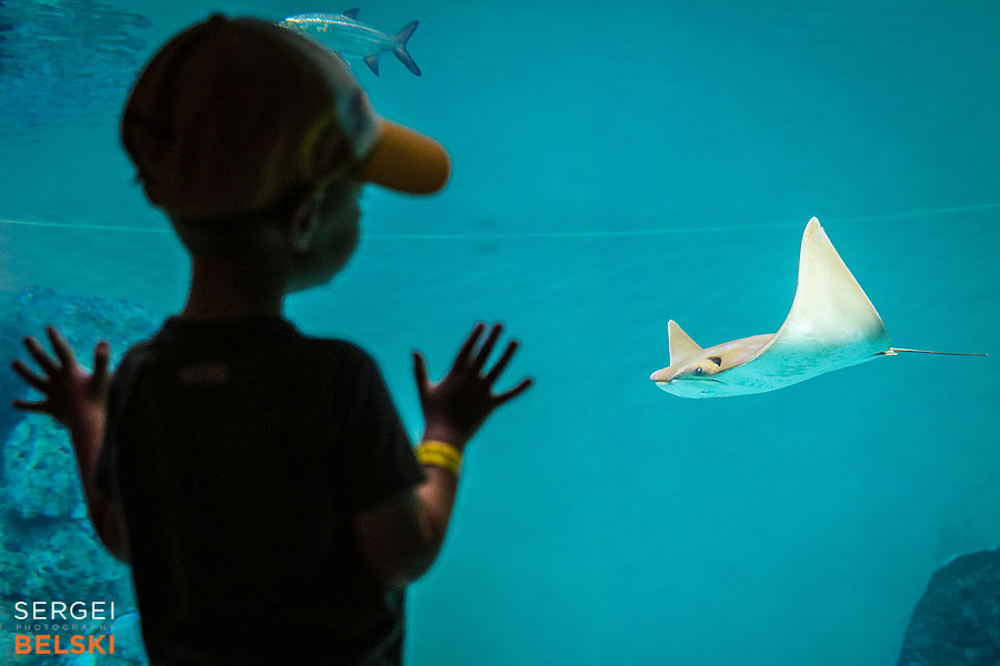 florida vacation family travel photographer sergei belski photo