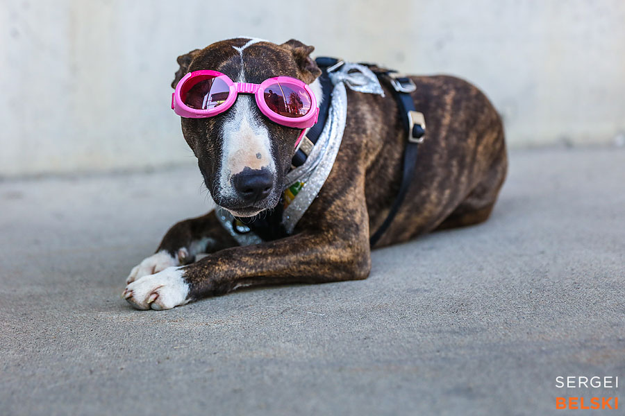 my vespa adventures event photographer sergei belski photo