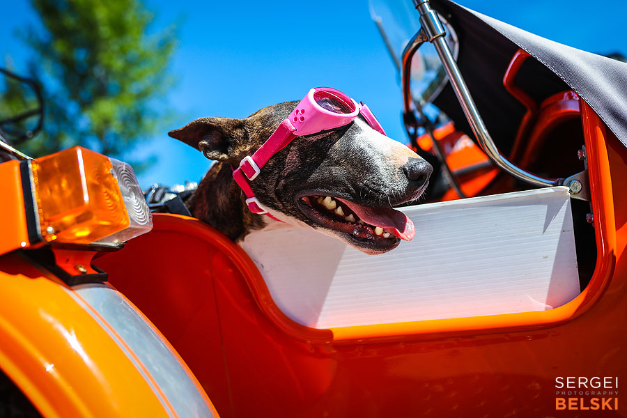 my vespa adventures event photographer sergei belski photo