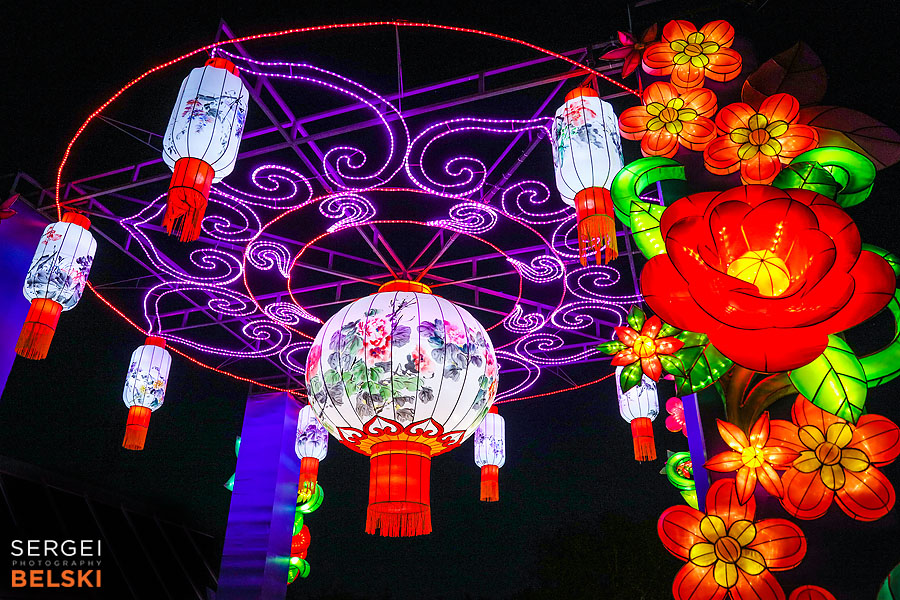 calgary zoo illuminasia event photographer sergei belski photo