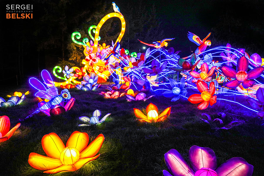 calgary zoo illuminasia event photographer sergei belski photo