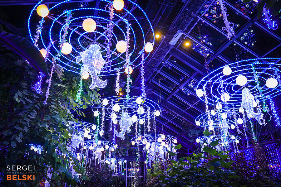 calgary zoo illuminasia event photographer sergei belski photo