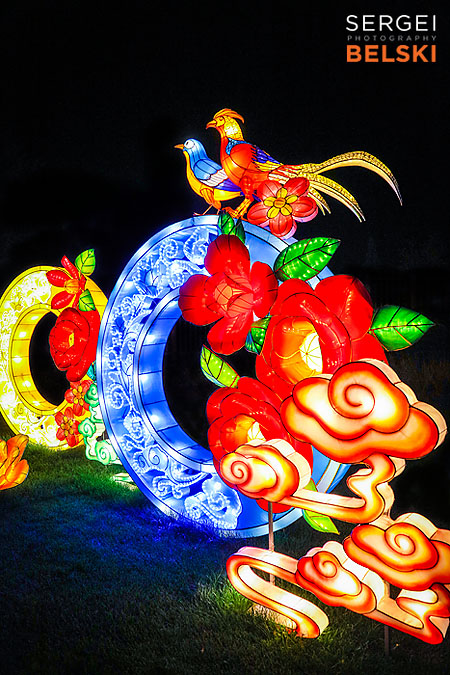 calgary zoo illuminasia event photographer sergei belski photo