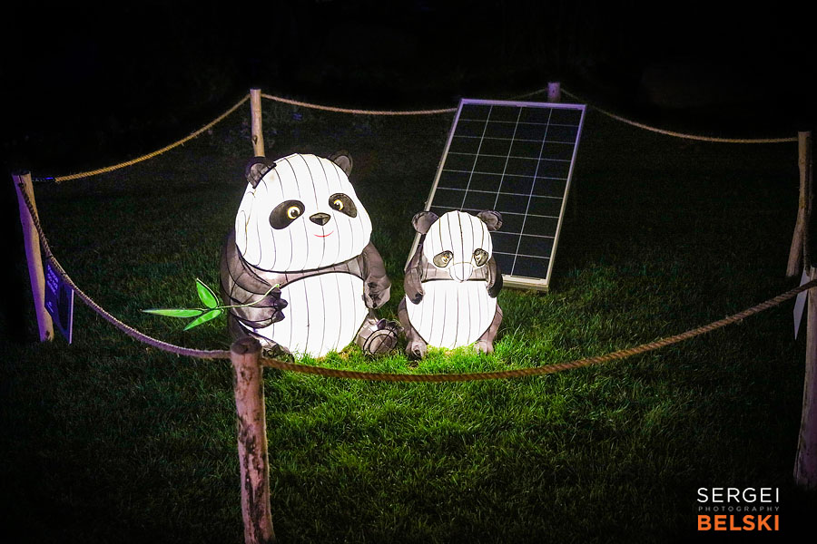 calgary zoo illuminasia event photographer sergei belski photo