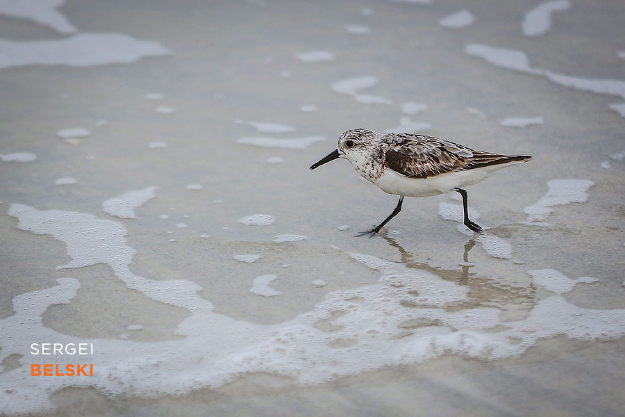 florida vacation family travel photographer sergei belski photo