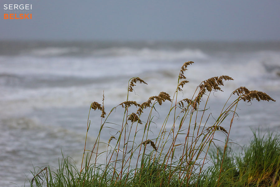 florida vacation family travel photographer sergei belski photo