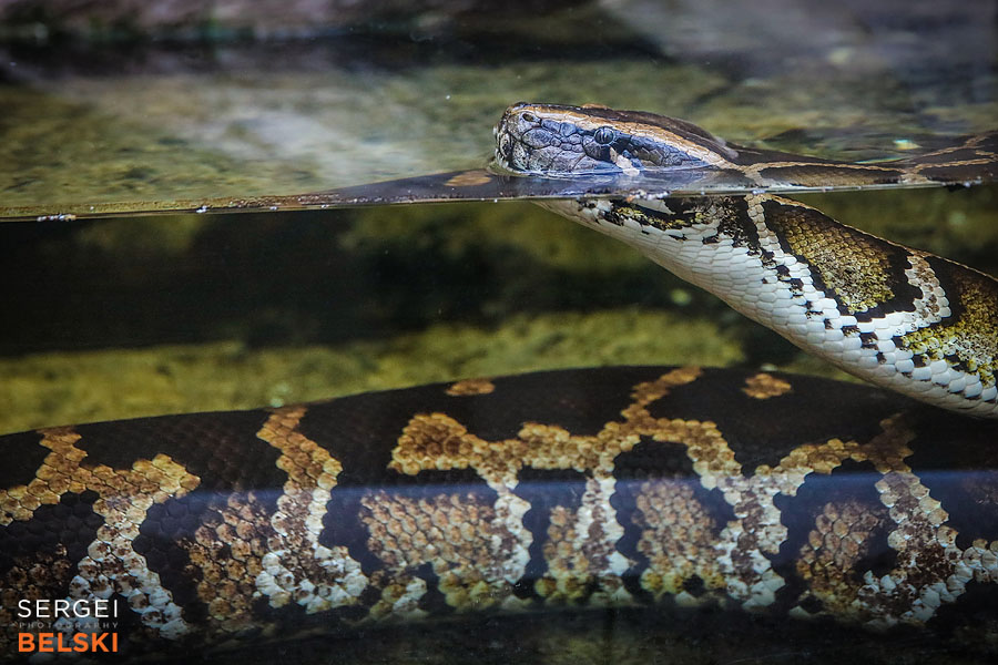 florida vacation family travel photographer sergei belski photo
