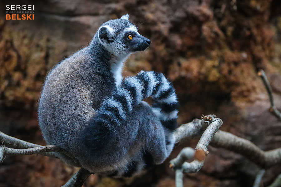 florida vacation family travel photographer sergei belski photo