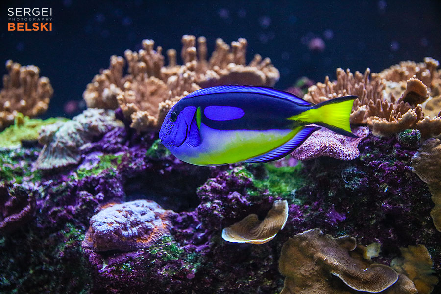 florida vacation family travel photographer sergei belski photo