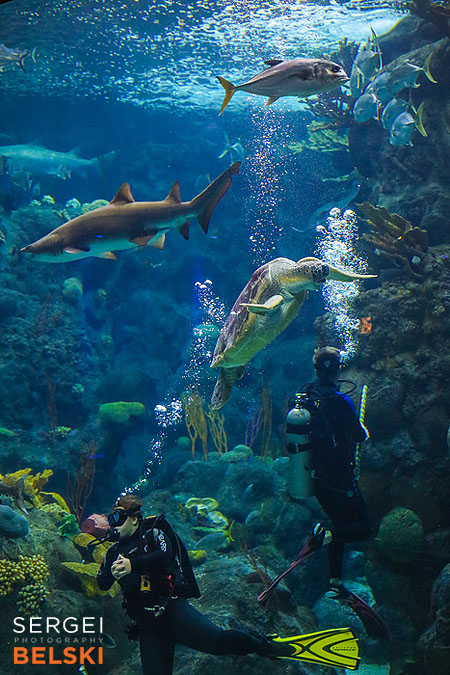 florida vacation family travel photographer sergei belski photo