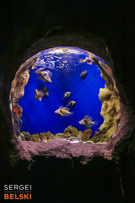 florida vacation family travel photographer sergei belski photo