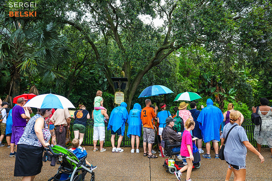 florida vacation family travel photographer sergei belski photo