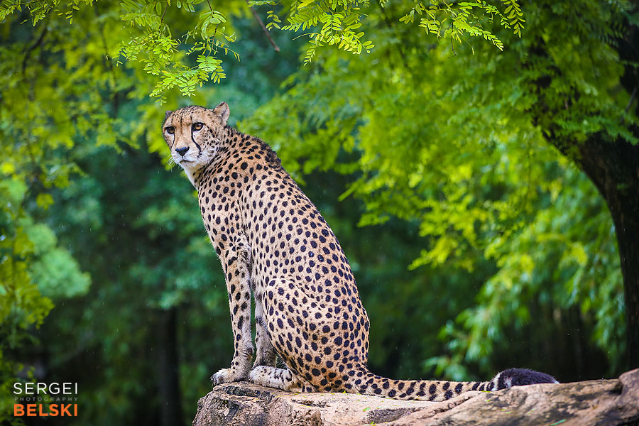 florida vacation family travel photographer sergei belski photo