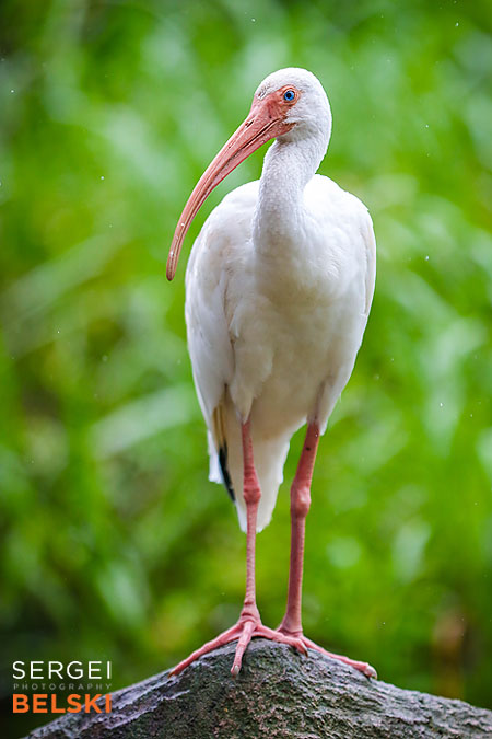 florida vacation family travel photographer sergei belski photo