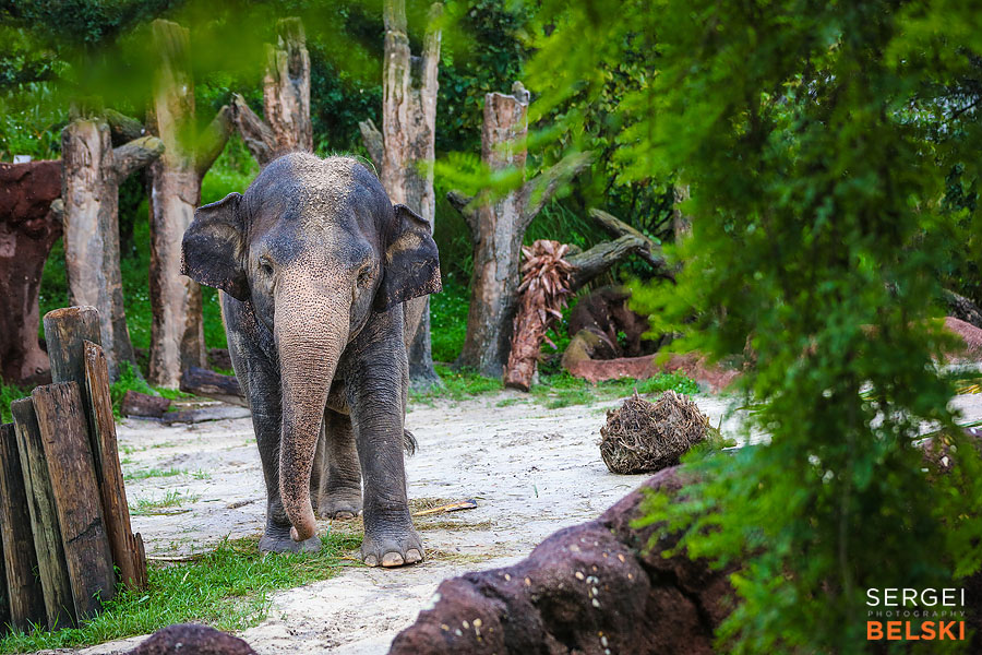 florida vacation family travel photographer sergei belski photo