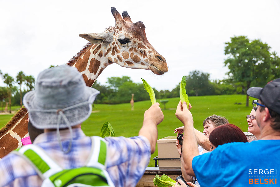 florida vacation family travel photographer sergei belski photo