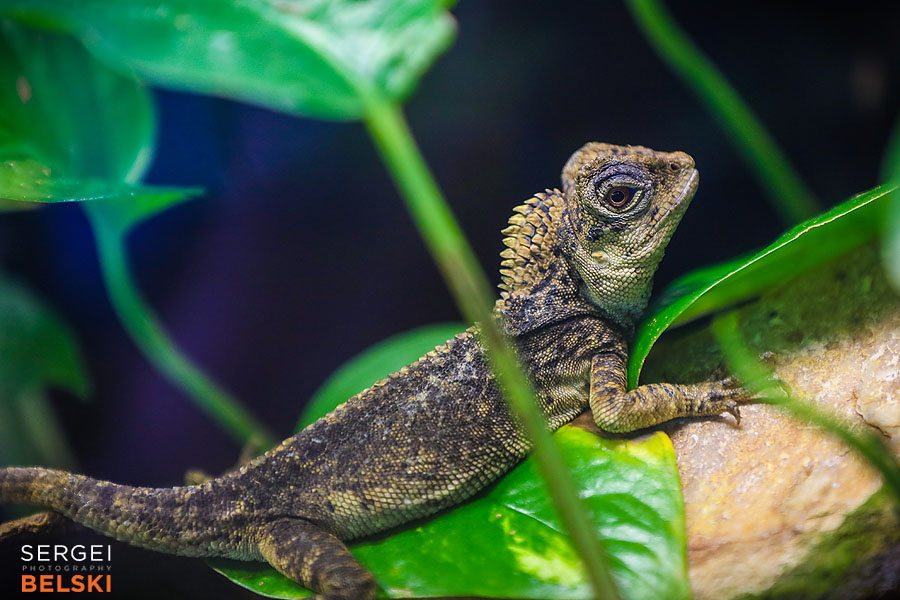 florida vacation family travel photographer sergei belski photo