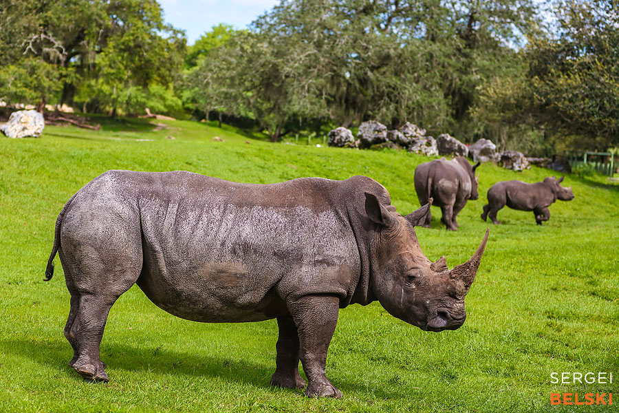 florida vacation family travel photographer sergei belski photo