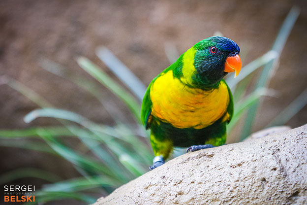 florida vacation family travel photographer sergei belski photo