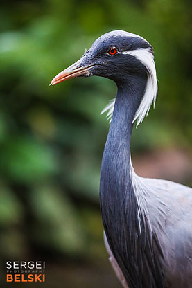 florida vacation family travel photographer sergei belski photo