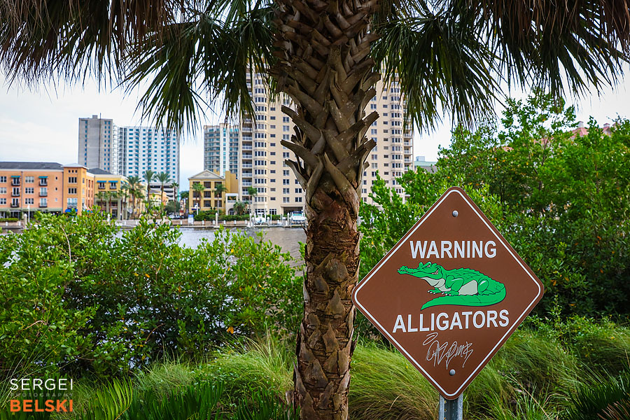 florida vacation family travel photographer sergei belski photo