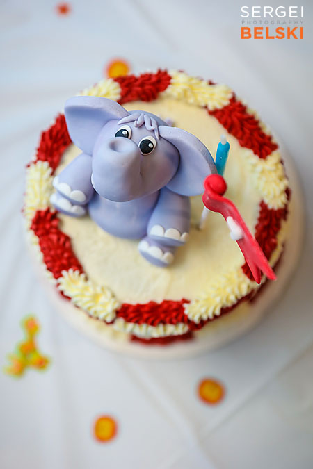 kids birthday calgary event photographer sergei belski photo