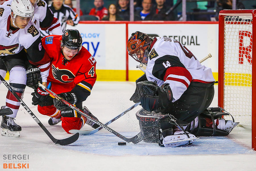 nhl hockey calgary sports photographer sergei belski photo