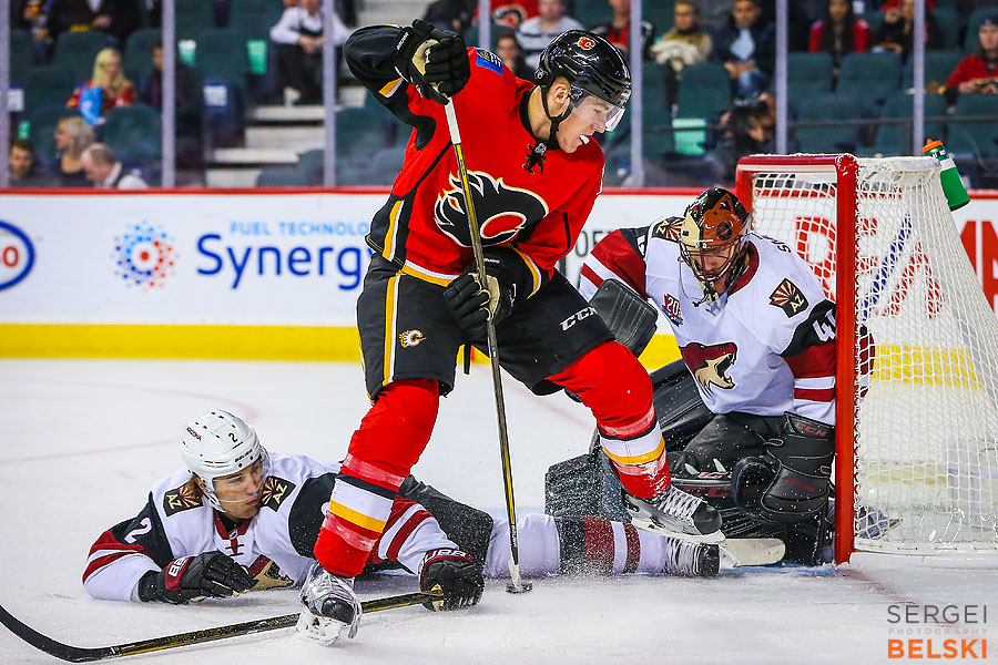 nhl hockey calgary sports photographer sergei belski photo