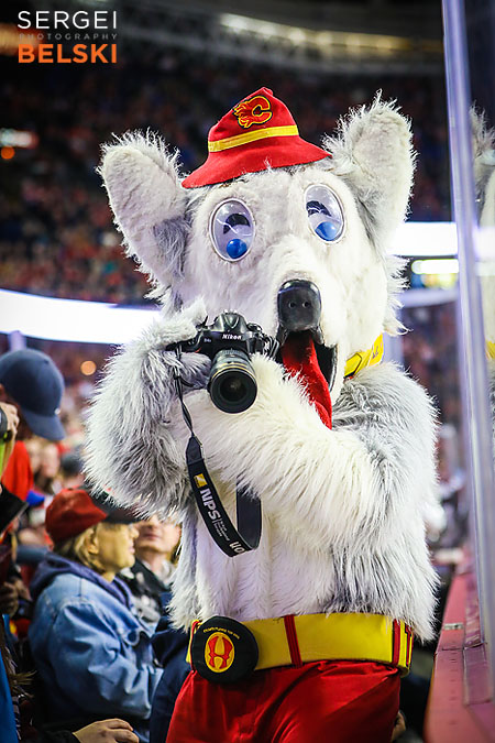 nhl hockey calgary sports photographer sergei belski photo