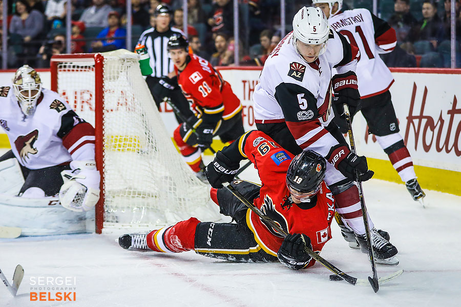 nhl hockey calgary sports photographer sergei belski photo
