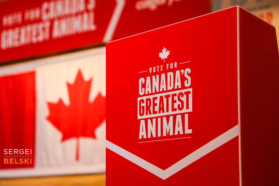 calgary zoo event photographer sergei belski photo