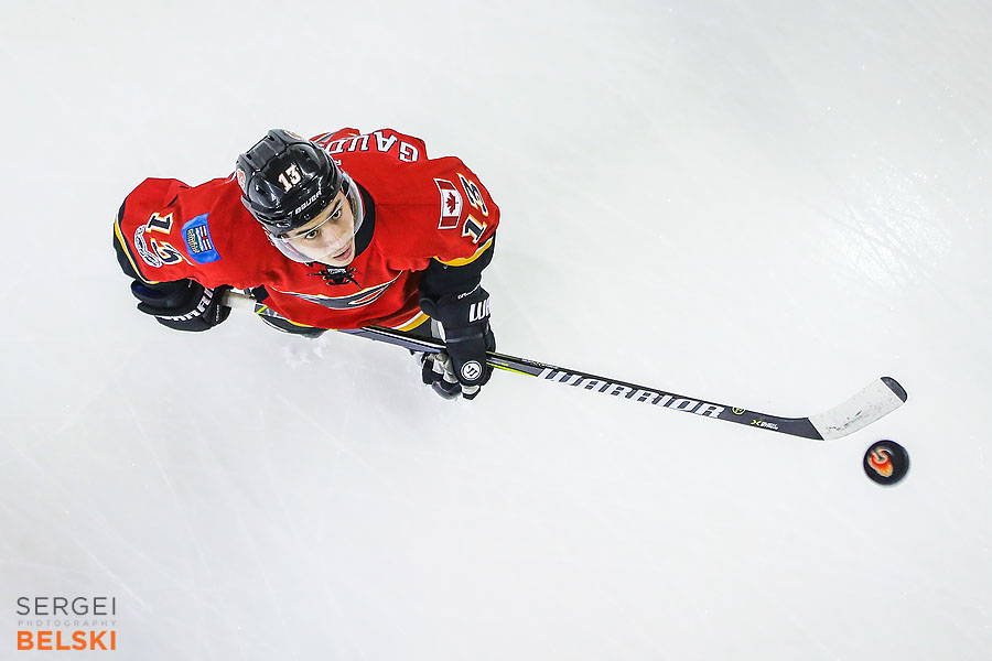 nhl hockey calgary sports photographer sergei belski photo