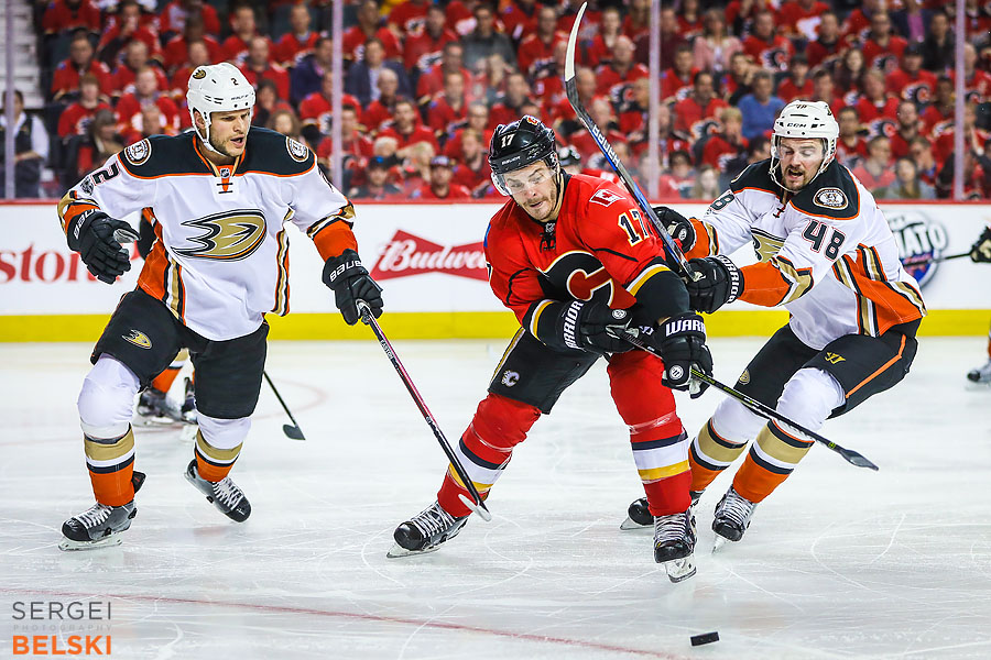 nhl hockey calgary sports photographer sergei belski photo