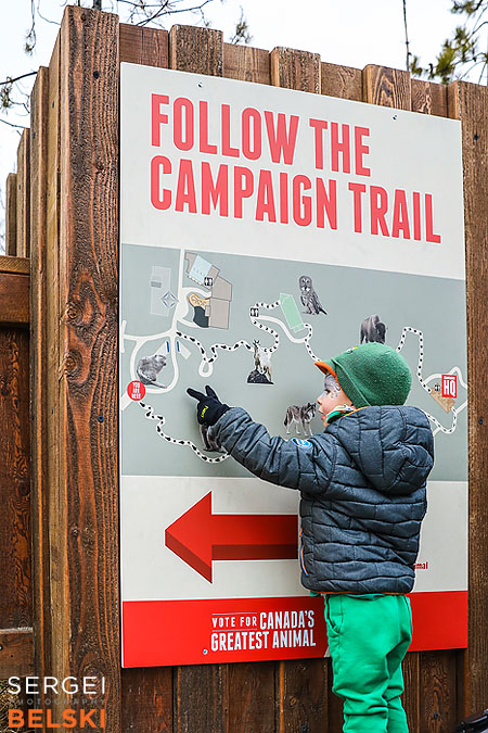 calgary zoo event photographer sergei belski photo