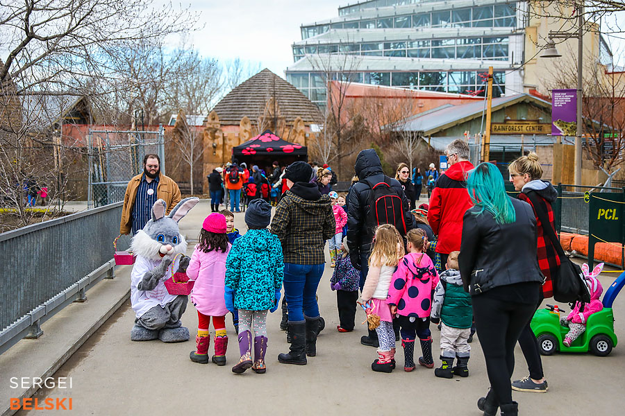 calgary zoo event photographer sergei belski photo