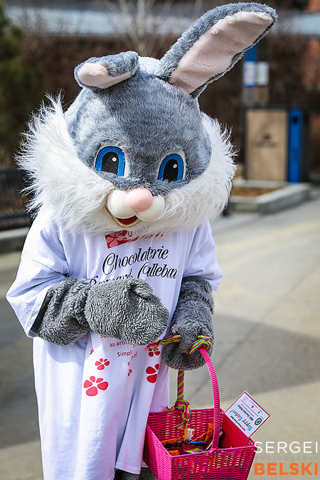 calgary zoo event photographer sergei belski photo