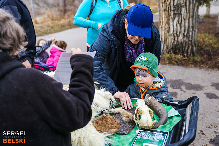 calgary zoo event photographer sergei belski photo