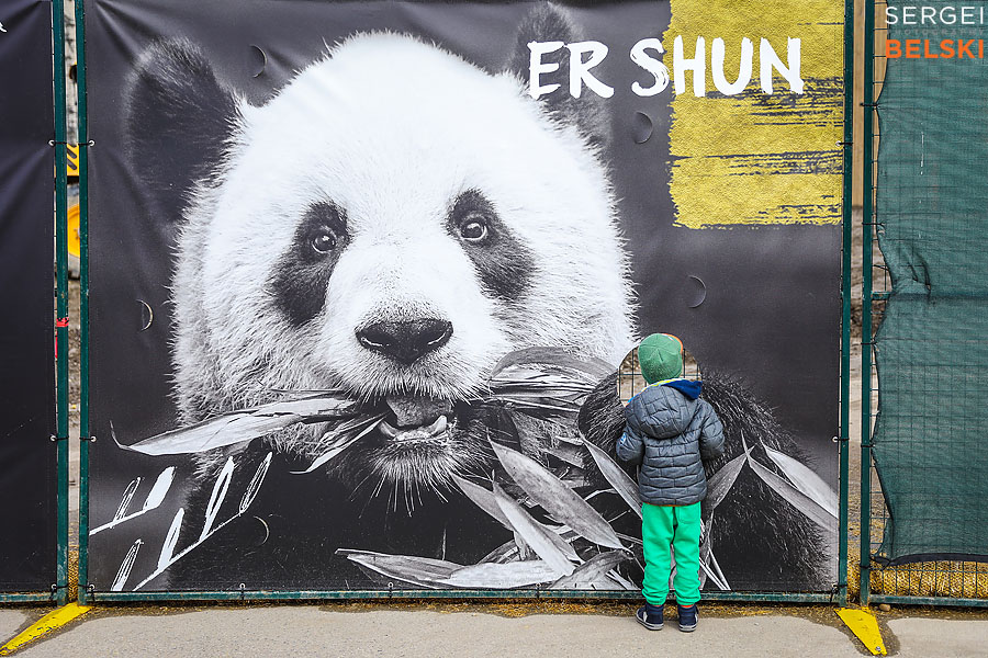 calgary zoo event photographer sergei belski photo