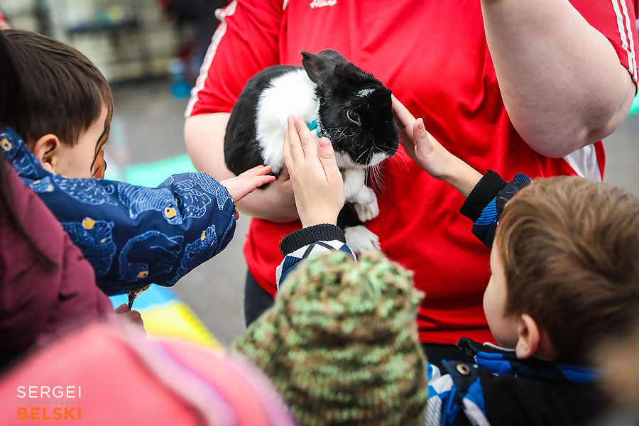 calgary zoo event photographer sergei belski photo