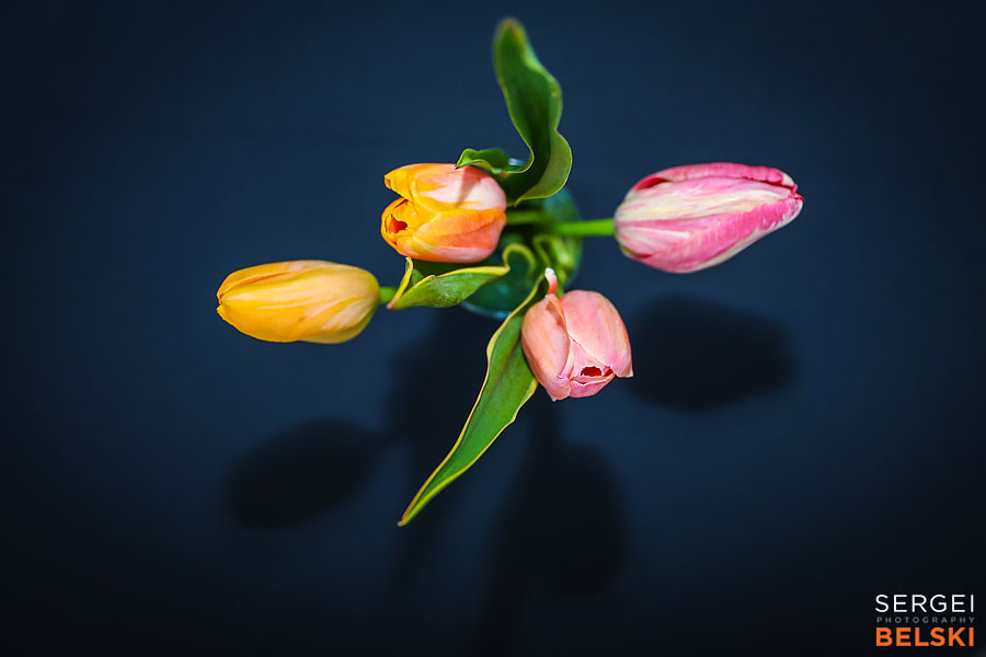 fortis alberta airdrie corporate event sergei belski photo